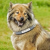 Vista 5 de Senristar Collar de perro de cuero reflectante personalizado con forro cálido, collar de perro personalizado con placa de nombre grabada para perros
