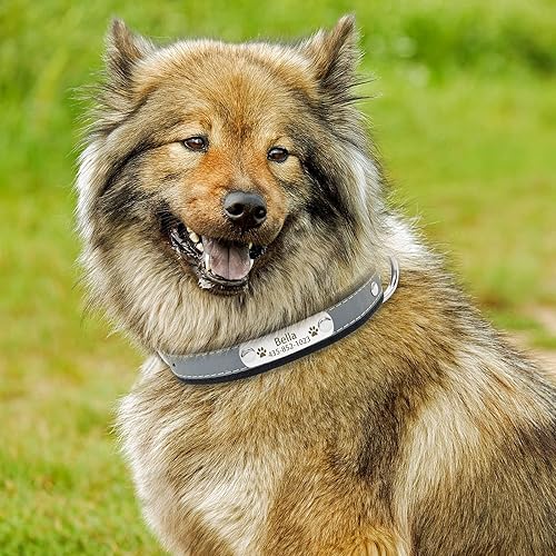 Miniatura 10 de Juego de collar y correa reflectante personalizado para perro, collar de perro de cuero personalizado con placa de nombre, collares de perro