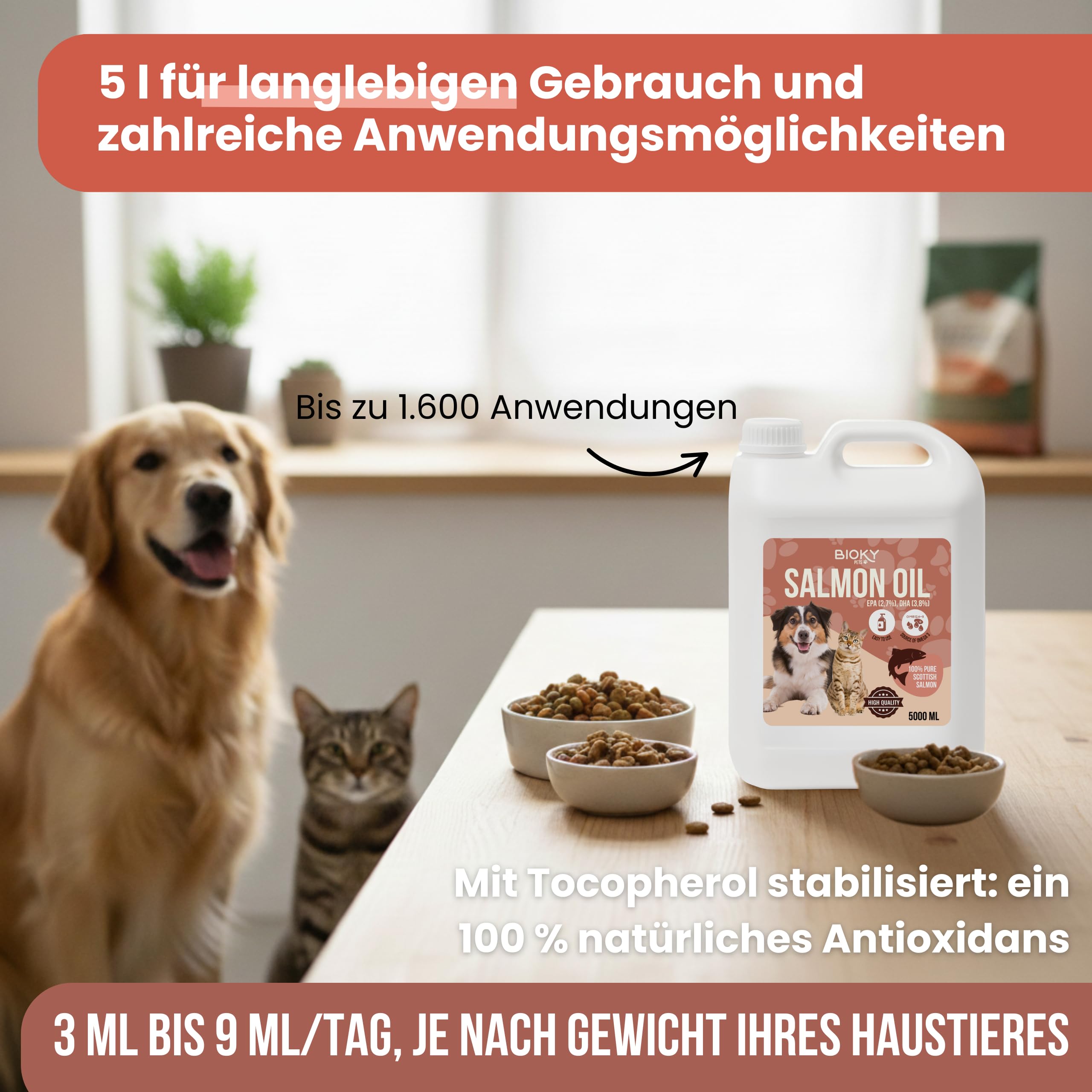 Lachsöl: Hunde und Katzen, 5 l, Quelle von Omega 3 und 6, EPA und DHA, hochwertiges Nahrungsergänzungsmittel mit Fettsäuren und Vitamin E – Herkunft Schottland
