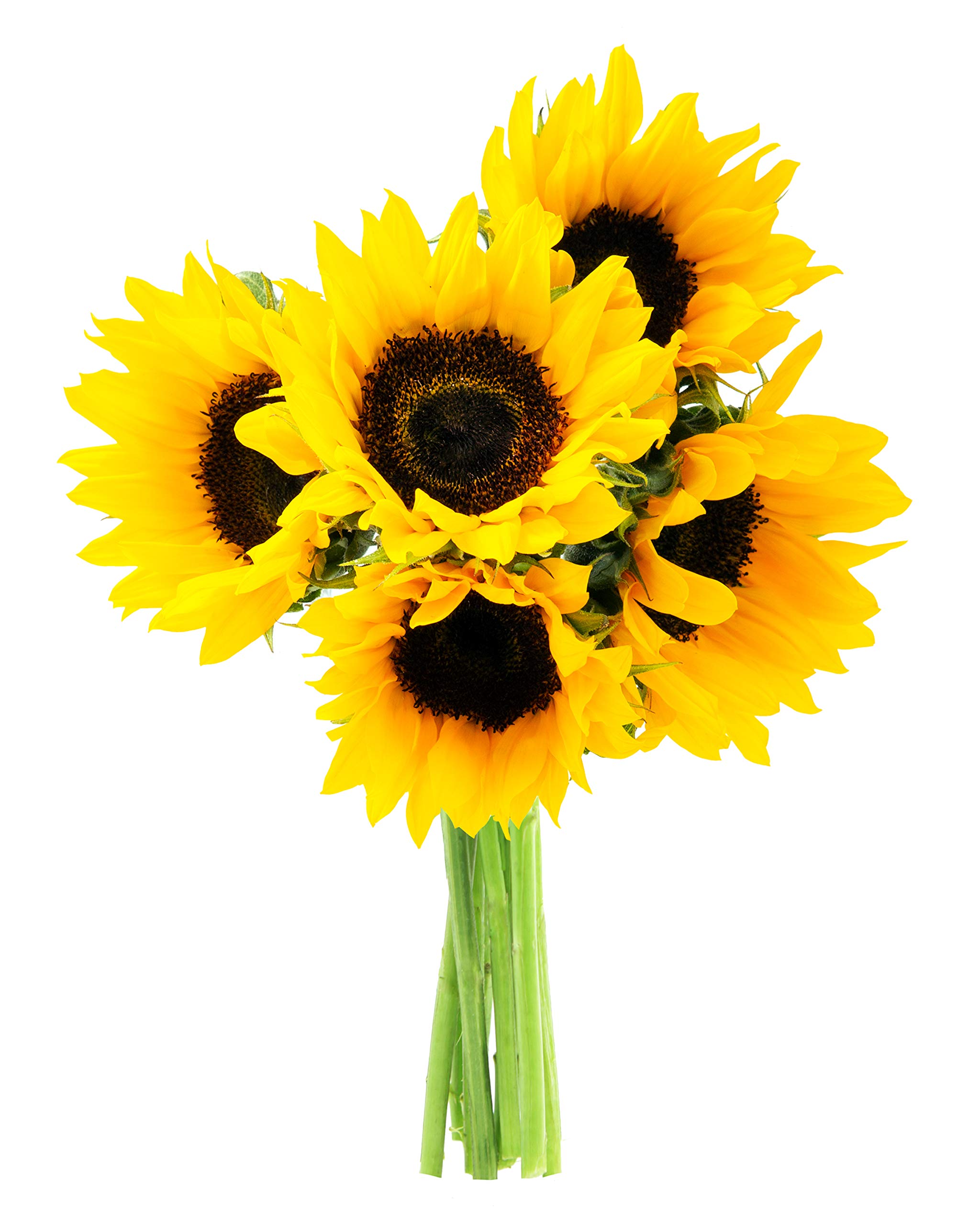 Smile Bouquet of 5 Fresh Sunflowers Without Vase - Fall Collection - KaBloom Prime Next Day - Gift for Birthday, Anniversary, Get Well, Thank You, Valentine, Mother’s Day Fresh Flowers
