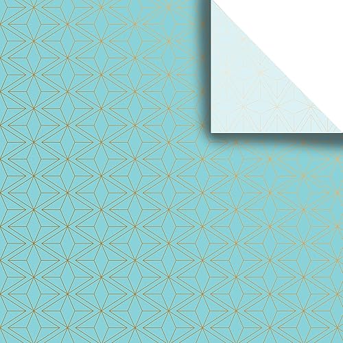 JILLSON & ROBERTS Suministros de papel de regalo impreso de 20 x 30 pulgadas, diseño moderno Geo, 24 hojas plegadas