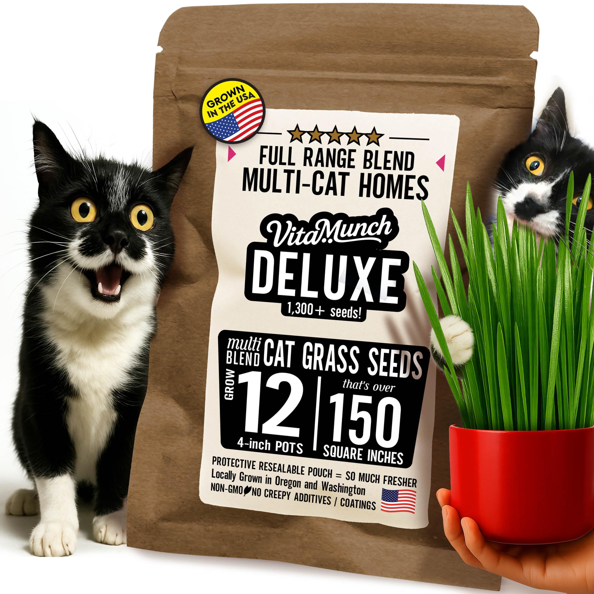 Cat Grass Seed Deluxe Non-GMO Blend Cats Love + Grows 12 Pots (Over 150 Sq in) Ready in 5 Days + Full Range of Tastes/Textures The Whole Crew Will Enjoy +Trusted by Vets for Indoor Cats –1300+ Seeds