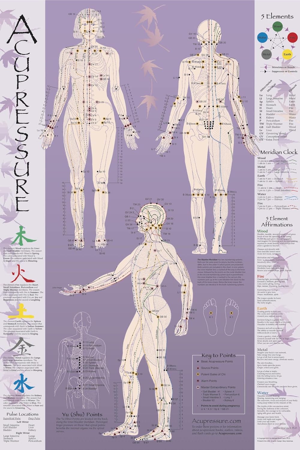 Acupressure Chart - Points & Meridians