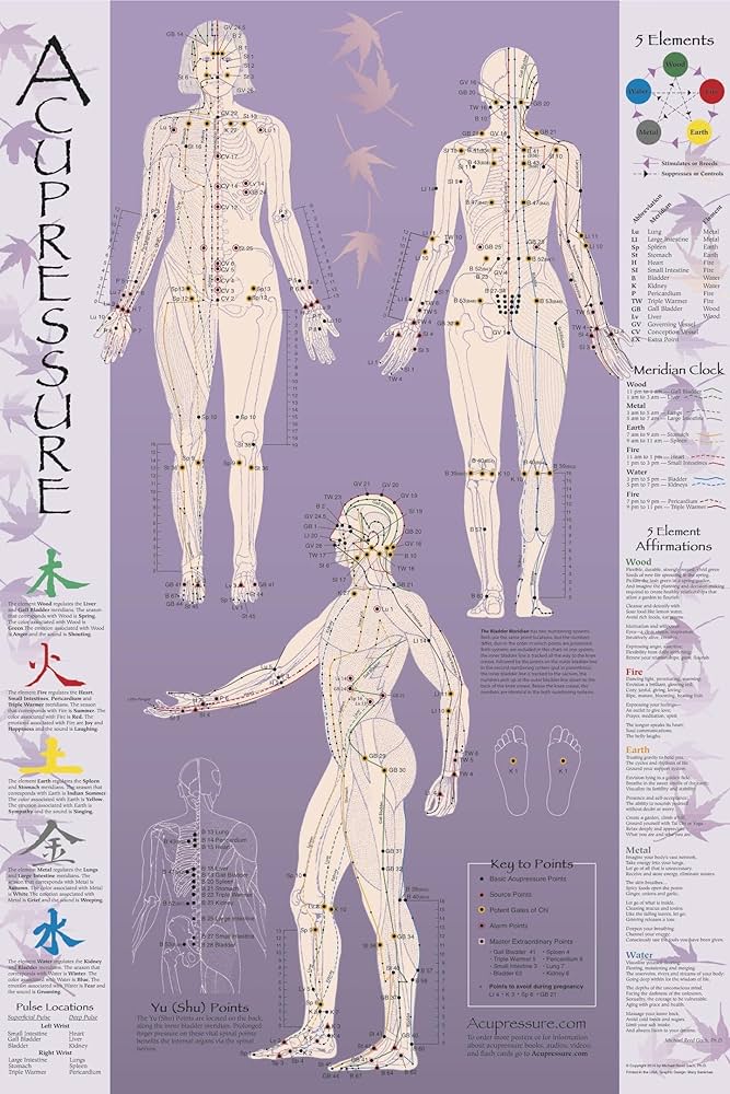 acupressure-chart-points-meridians-michael-reed-gach-ph-d-michael-reed-gach-ph-d-acupressure-com-9781890258320-amazon-com-books for Free Printable Acupressure Points Chart Acupressure Chart - Points & Meridians: Michael Reed Gach, Ph.D., Michael Reed Gach, Ph.D., Acupressure.com: 9781890258320: Amazon.com: Books for Free Printable Acupressure Points Chart
