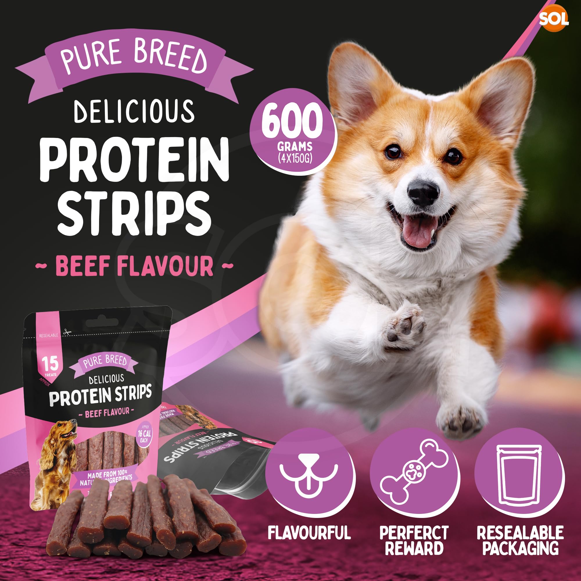 SOL 600g Delicious Protein Strips, Long Lasting Dog Chew, 10cm Flavourful Beef Dog Treats for Training & Rewards - Image 3