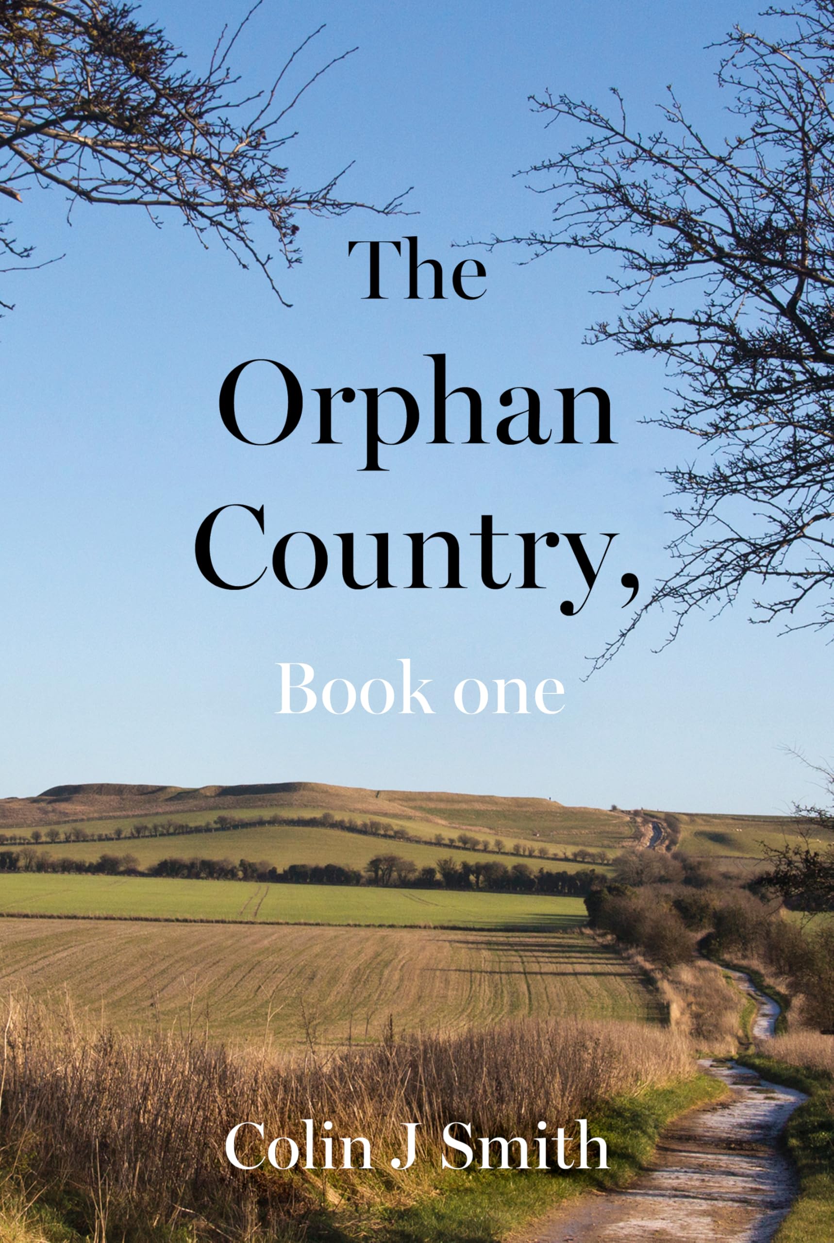 Orphan Country Book One