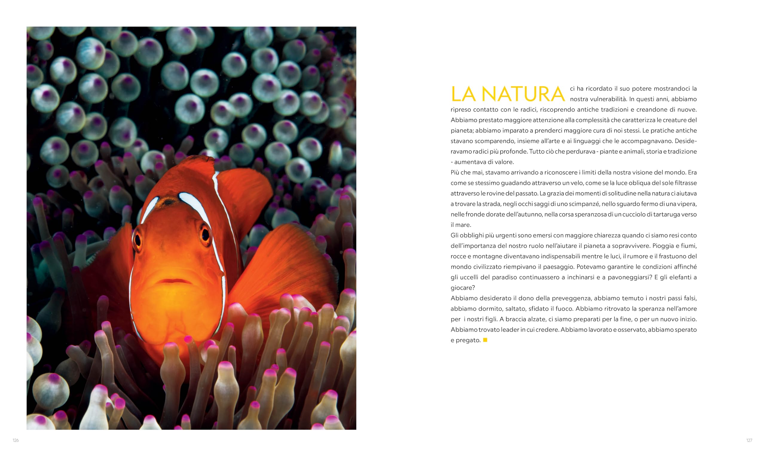 Il XXI secolo attraverso le fotografie di National Geographic. Ediz. a colori