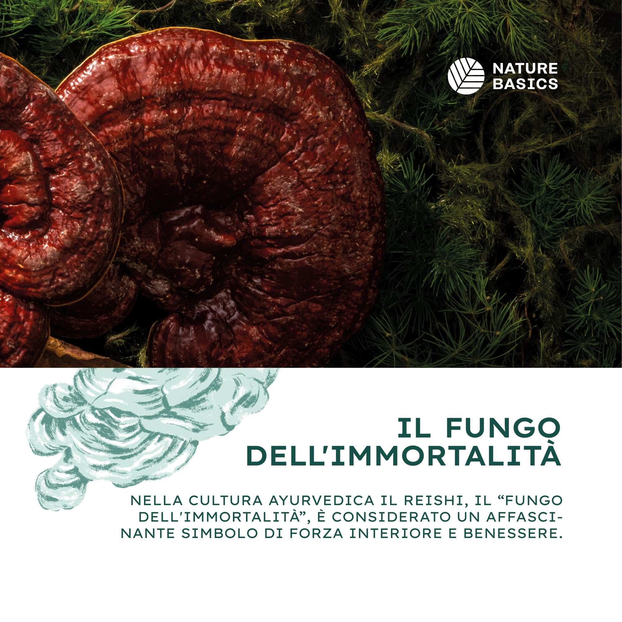 Reishi biologico - 120 capsule ad alto dosaggio / 1500 mg di estratto di Reishi biologico di alta qualità con 600 mg di polisaccaridi per dose giornaliera/Vegano e certificato