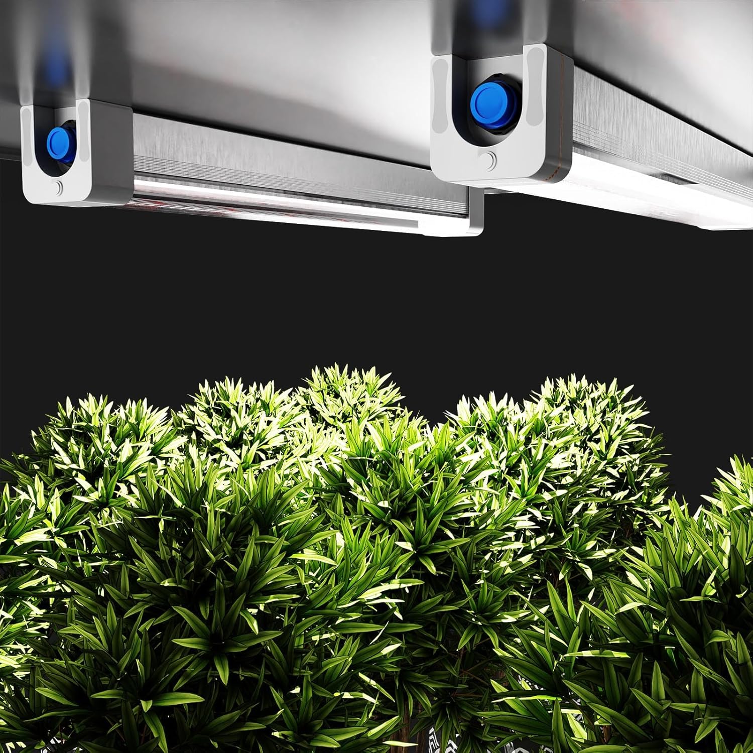 RDJ Bouns Under Canopy Grow Light for Grow Tent, 60W Full Spectrum with 660nm & IR, 0-10V Dimming Grow Light Bars, High Waterproof IP65, Daisy Chain, 24 Inch for Indoor Hydroponic Plant Growing（U60）