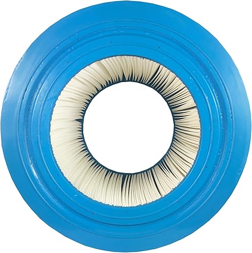 Miniatura 7 de In The Swim Cartucho de filtro de piscina premium de repuesto para filtro Pentair Clean and Clear Predator 50 CC50