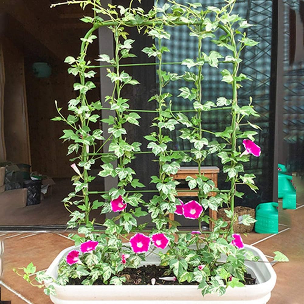 Amazon | Allystyle 観葉植物 園芸 ガーデニング 支柱 セキスイ