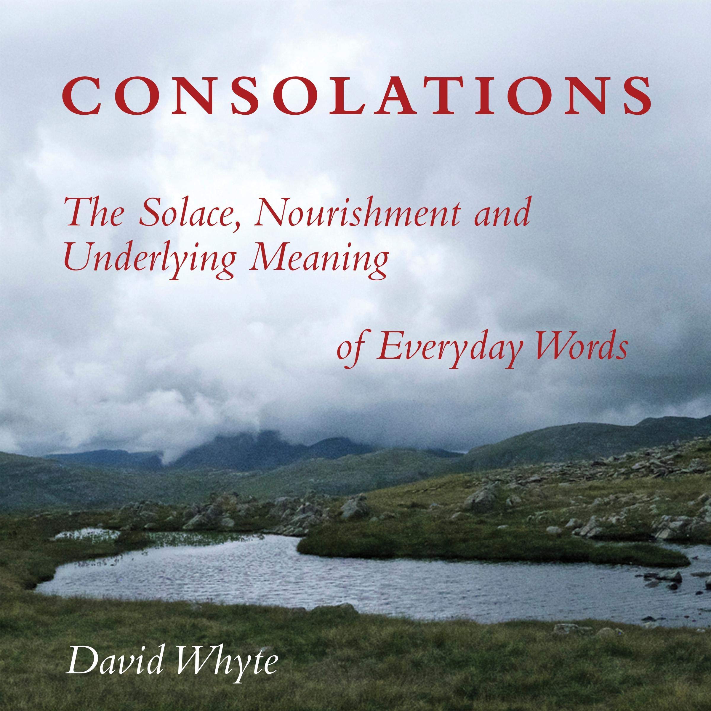 Cover art for Consolations: The Solace, Nourishment and Underlying Meaning of Everyday Words