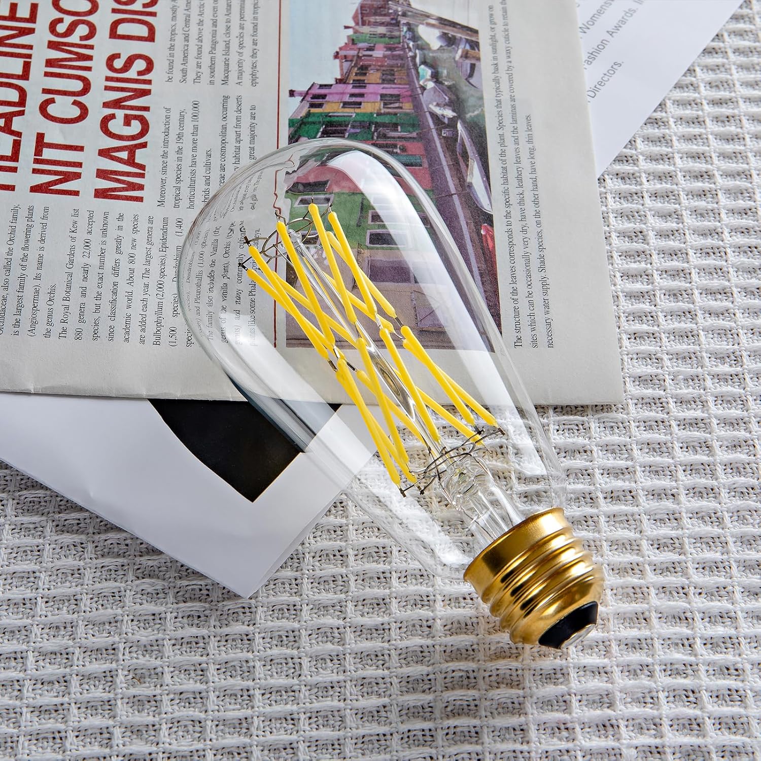 CREATE BRIGHT 16W Dimmable ST64 Led Bulbs 5000K Daylight White Light Bulbs with 90+ CRI, E26 Base,Clear Glass,1920 Lumen,Pack of 4