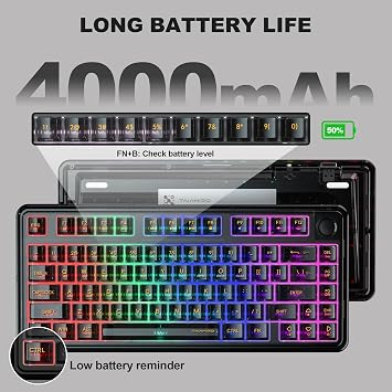 Transparent Mechanical Keyboard, 80-Key RGB Backlit Wireless Gaming Keyboards, Hot Swap Customizable Clear Acrylic Design, Quiet Linear Switches, 3 Modes BT5.0/2.4G/USB-C 4000mAh Battery (Black)