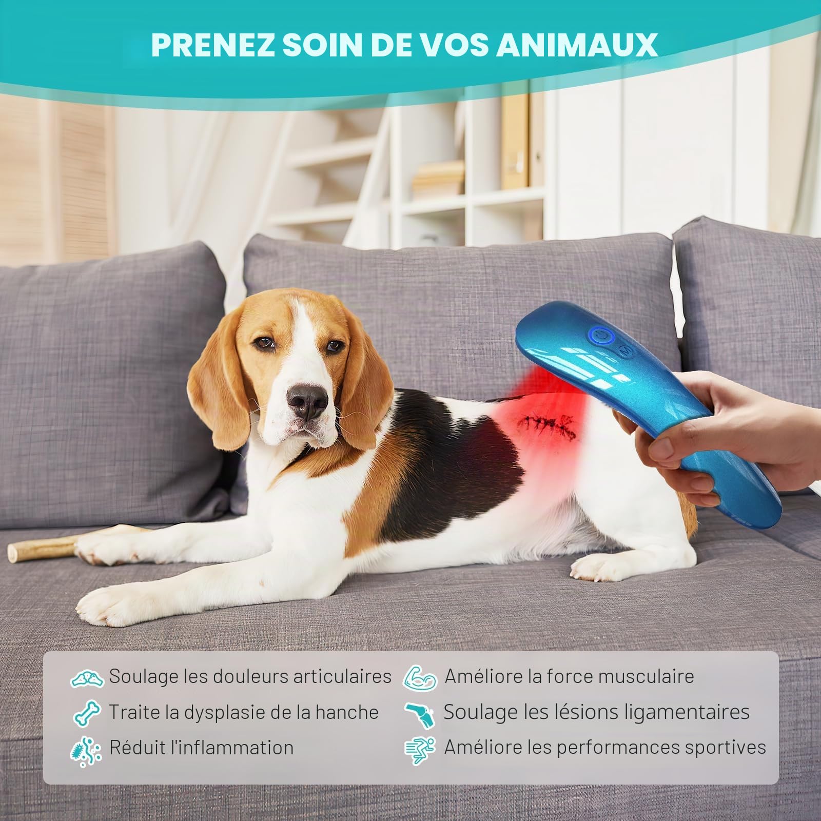 Thérapie au laser pour chiens, appareil de luminothérapie portable, rouge, 18 x 620 nm, pour muscles, hanches et arthrite articulaire, soulagement de la douleur, soin des plaies, problèmes corporels
