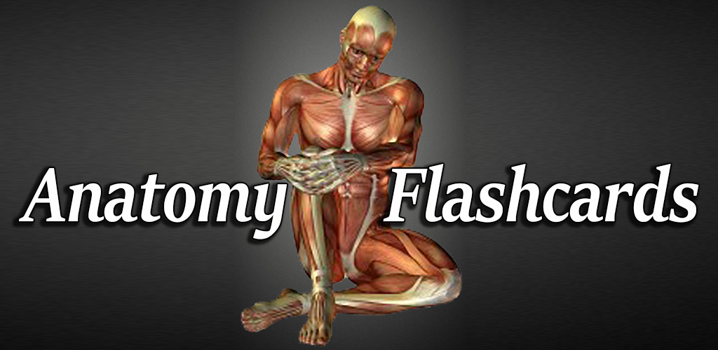 Anatomy for Android