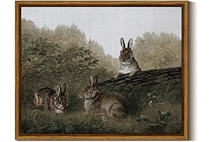 InSimSea Framed Canvas Print Wall Art: Vibrant Easter Rabbits for Home Decor