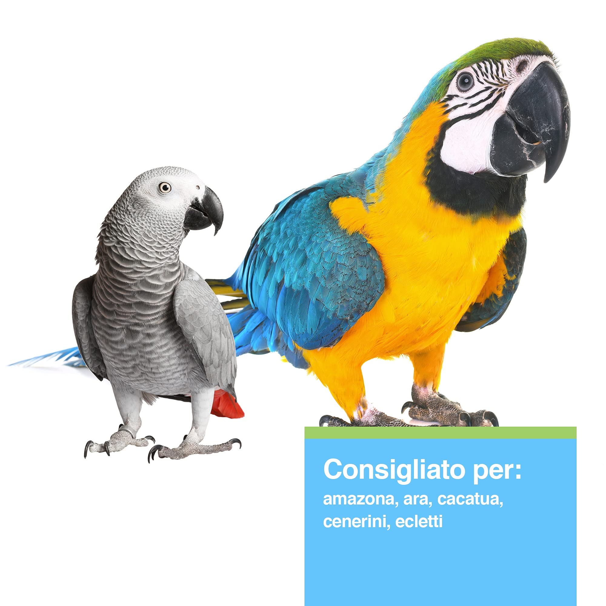 Hari - Mangime per pappagalli - Tropimix per grandi pappagalli - 1800gr