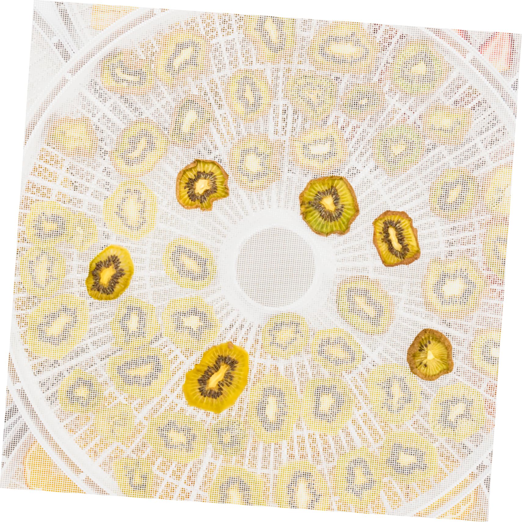 HOLIDYOYO Dehydrator Tray Liner Sheets 8 Pack Round Silicone Mats Food Dehydrator Sheets for Easy Cleaning