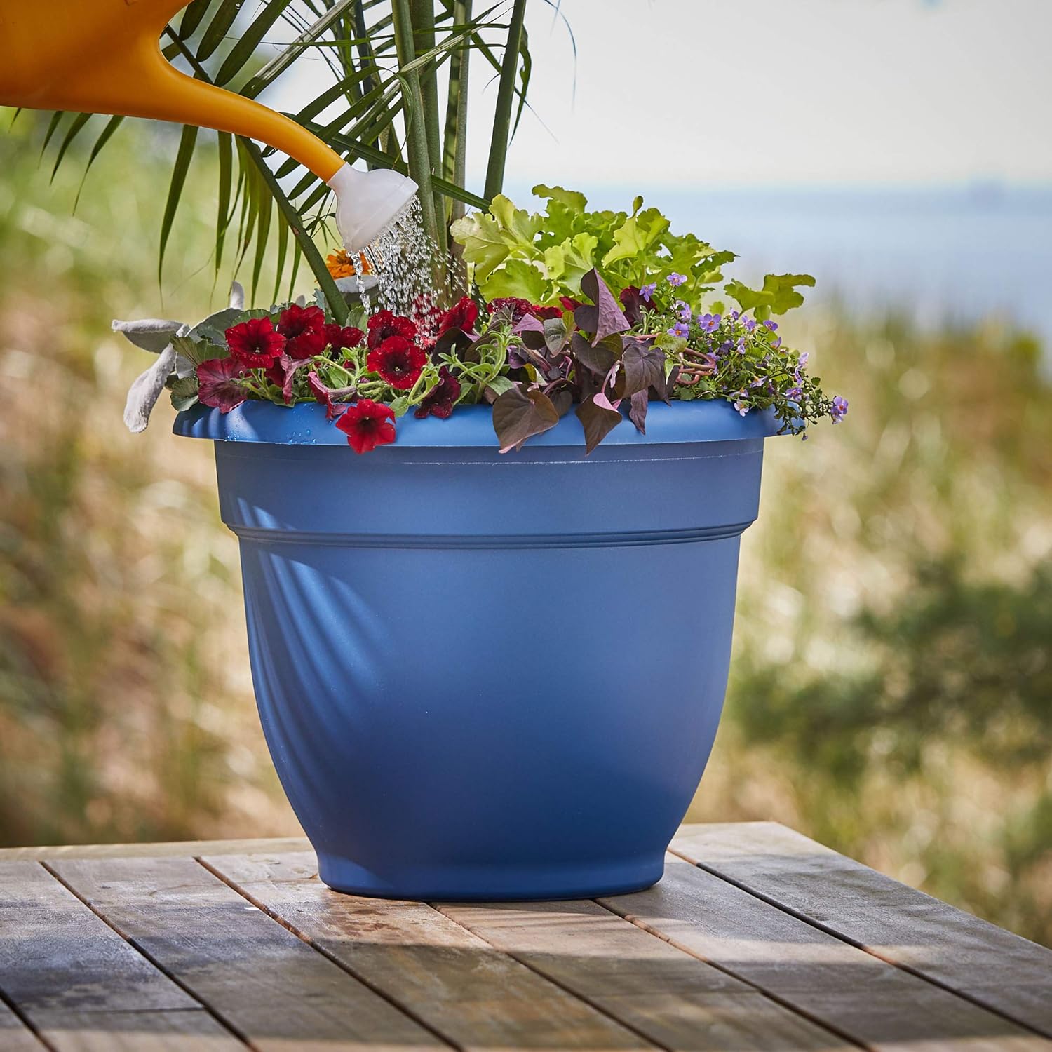 Bloem Watering Can (JW82-33), Classic Blue, 2 Gallon (256 Fl Oz) : Everything Else