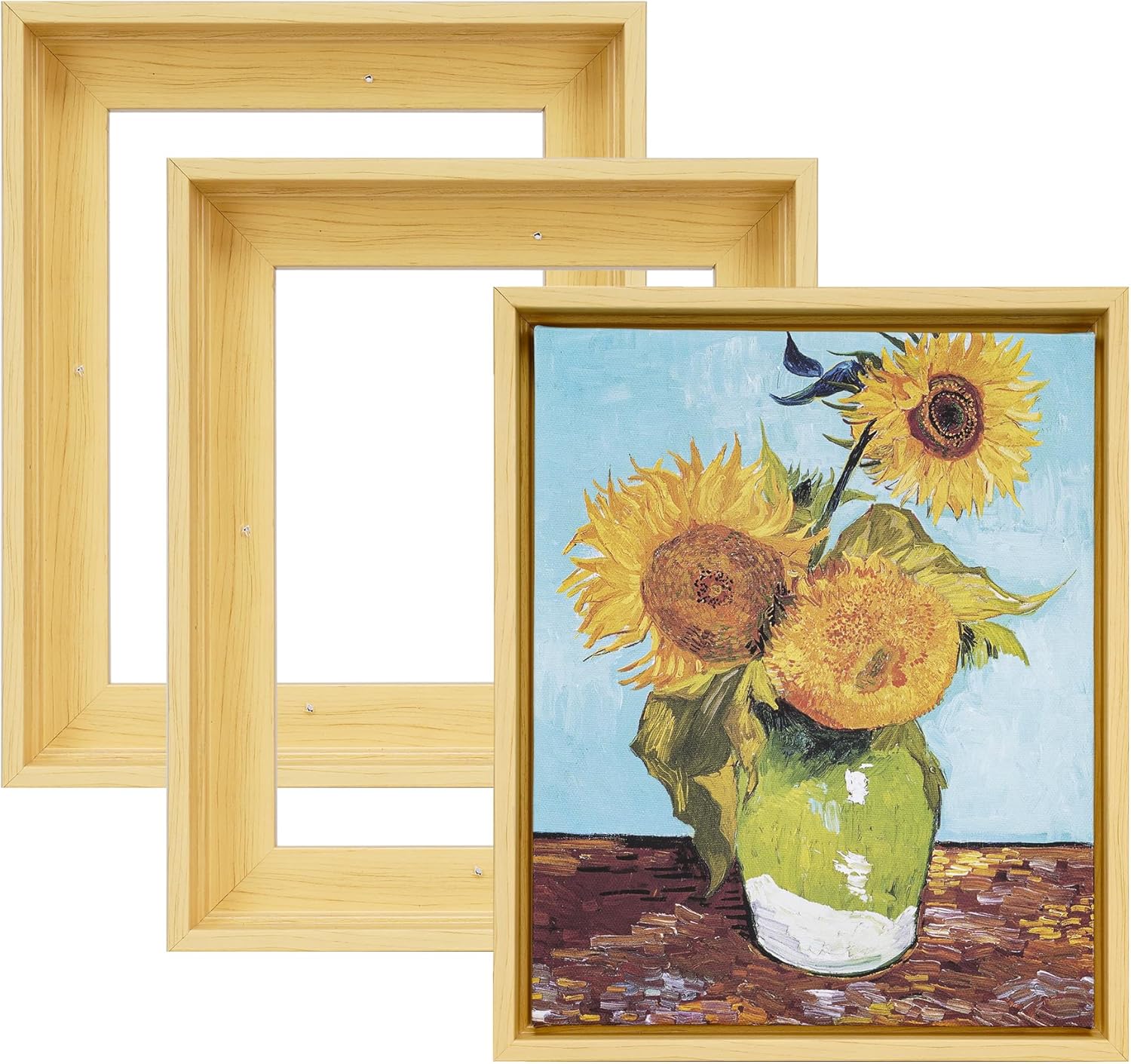 HUACANVAS 3Pack Canvas Floater Frames, Canvas Floating