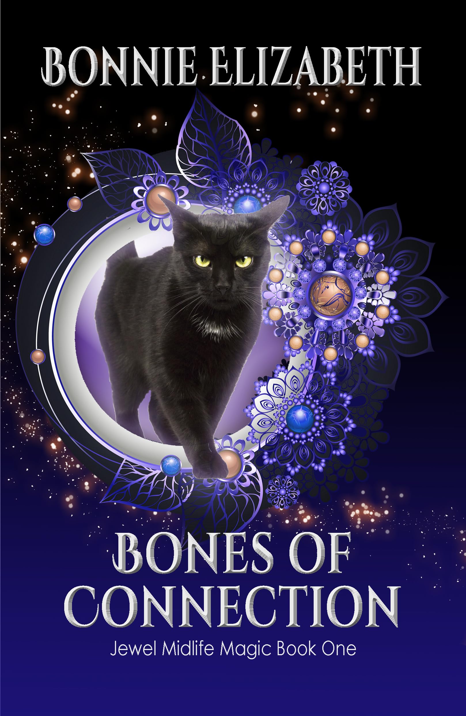 Cover of Bones of Connection