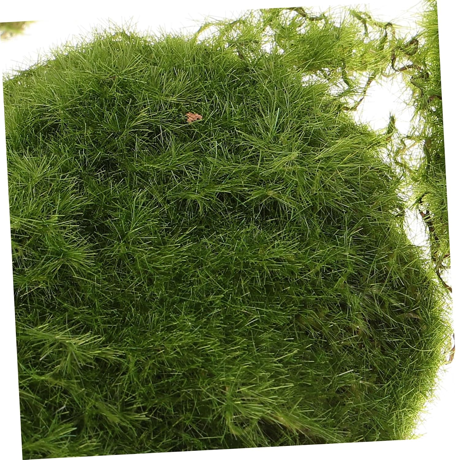 6pcs Decorative Artificial Moss Rocks Emulated Mossy Stones for Garden Layouts and Crafts for Home Decor and Terrariums