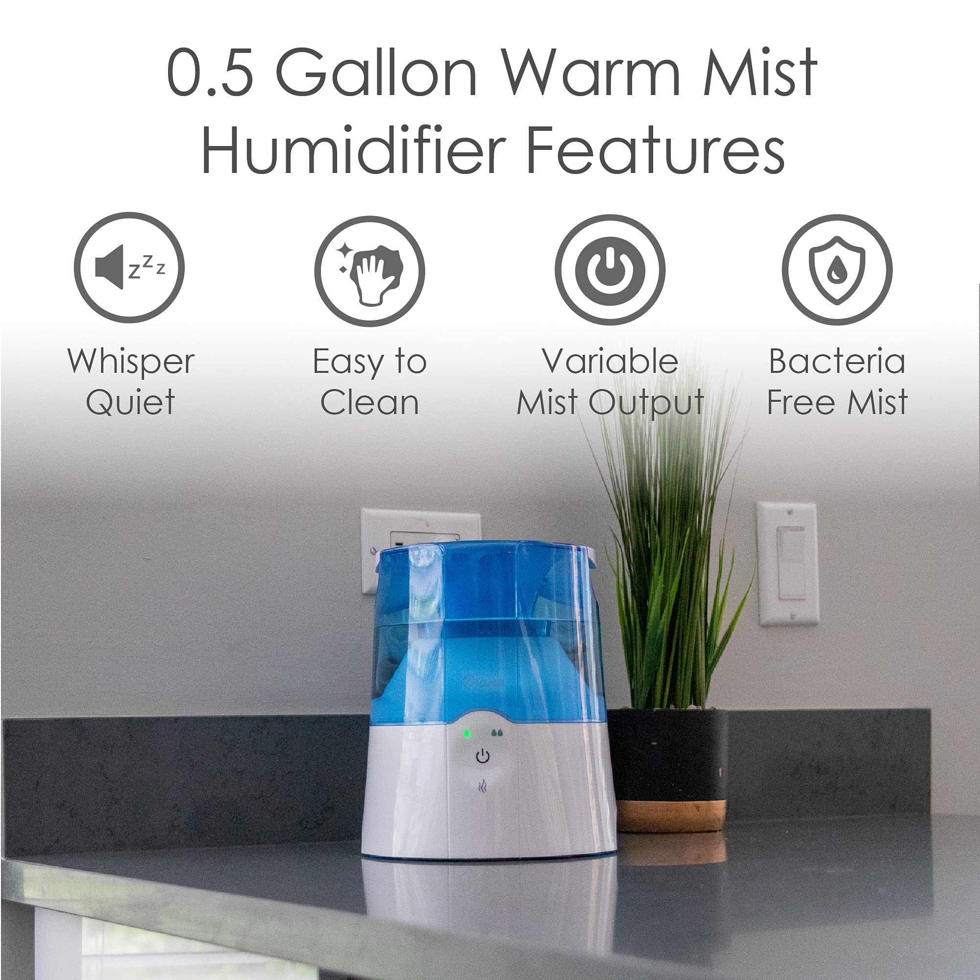 https://m.media-amazon.com/images/I/813Rohtgq8S.jpg