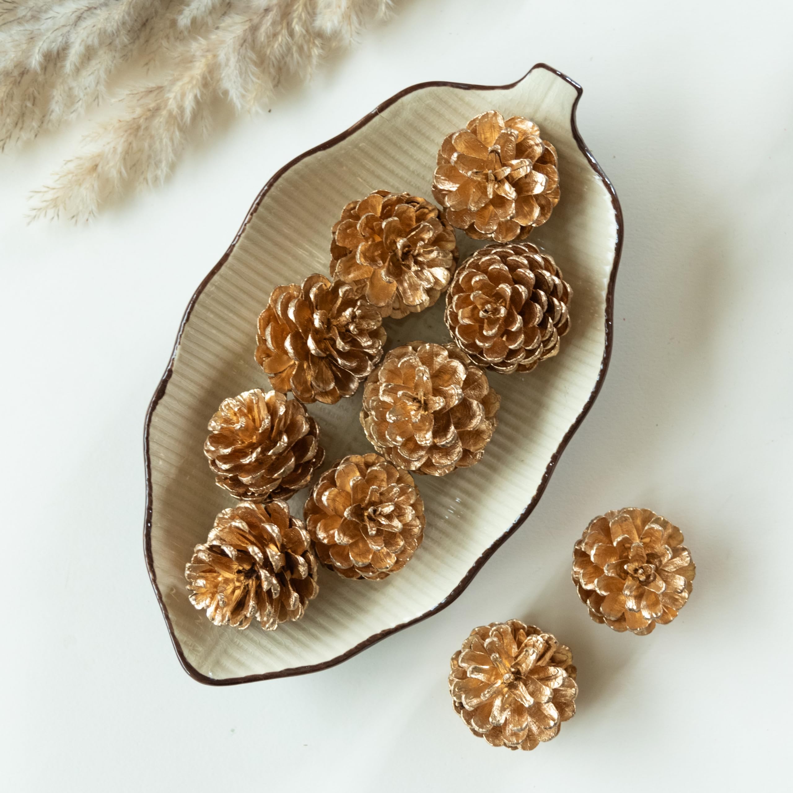 Flowers and Fillers || Golden Pine Cones (Set of 10 pcs) | Natural Dried Flower | Eco-Friendly Flowers for Home, Office, Bedroom, Table Decoration and Craft Items Corner (Without Vase Pot)-picture-17