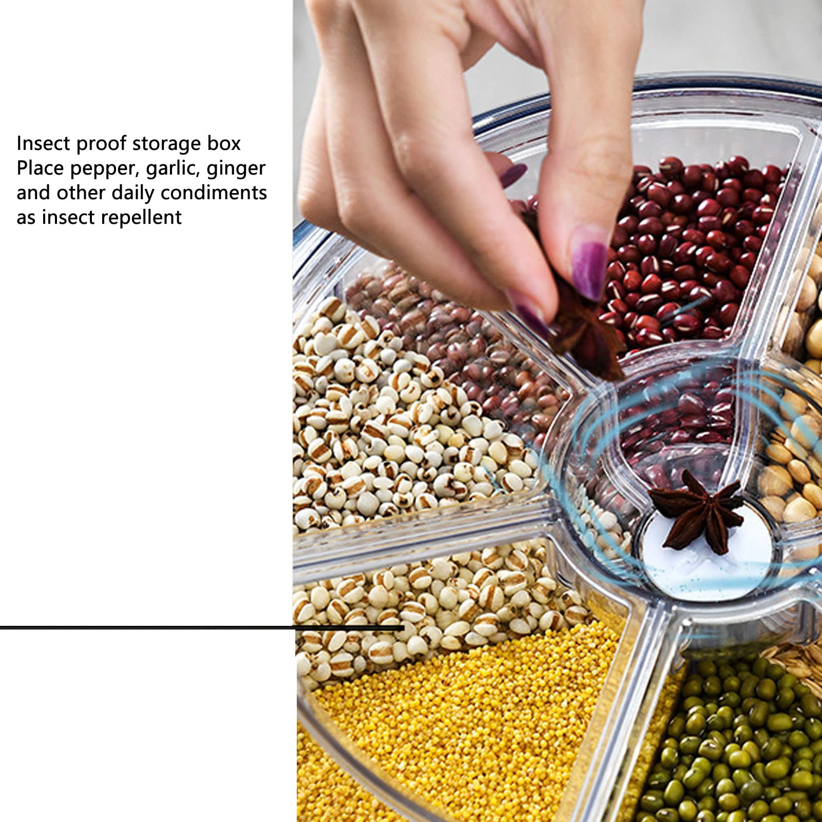 Contenitore per La Conservazione di Riso e Grano, Distributore di Alimenti Girevole a 360°, 6 Scomparti Trasparenti con Coperchio a Prova di Umidità Domestico, per Negozio di Cucina