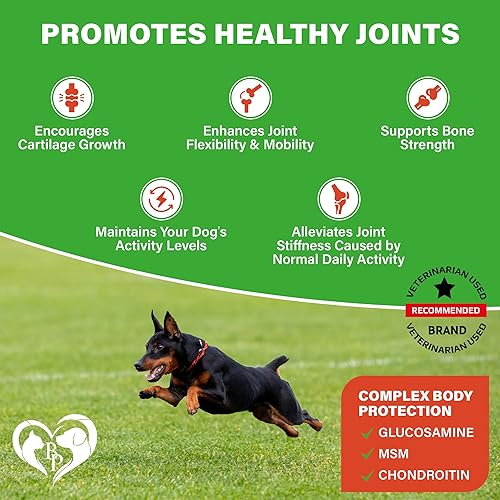 Miniatura 2 de Suplemento de cadera y articulaciones para perros y artritis para aliviar el dolor - Glucosamina condroitina MSM masticables suaves para perros