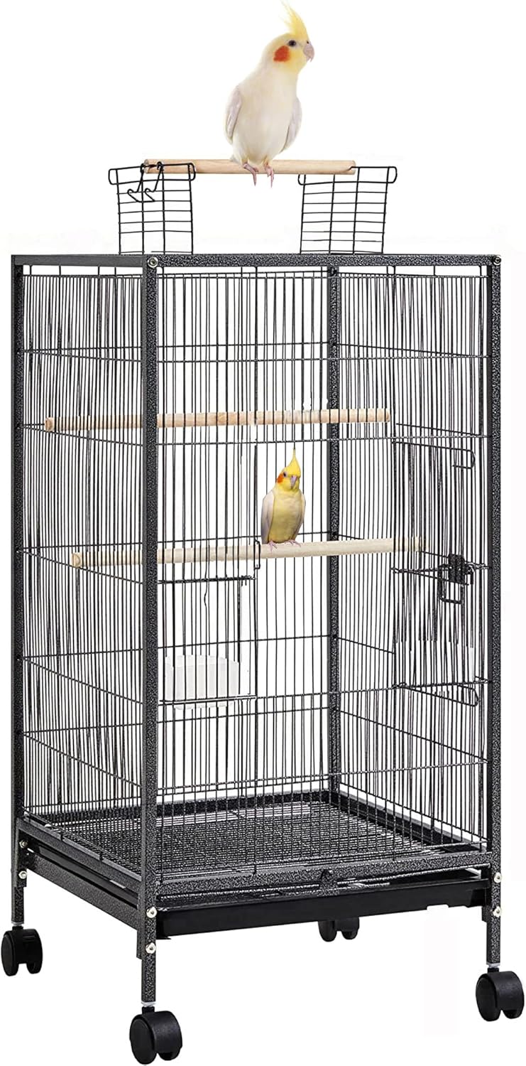 36.5-Inch Elegant Sturdy Wrought Iron Bird Flight Open Play Top Cage with Rolling Casters for Small-Sized Parrot Parakeets Cockatiels Budgies Parrotlets Lovebirds Canary