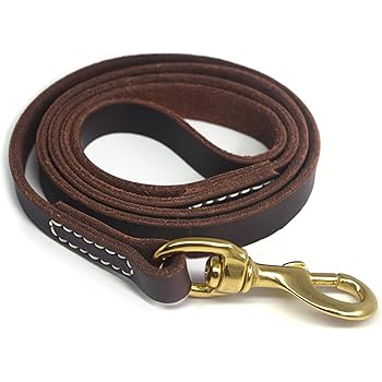 3 foot leather dog leash