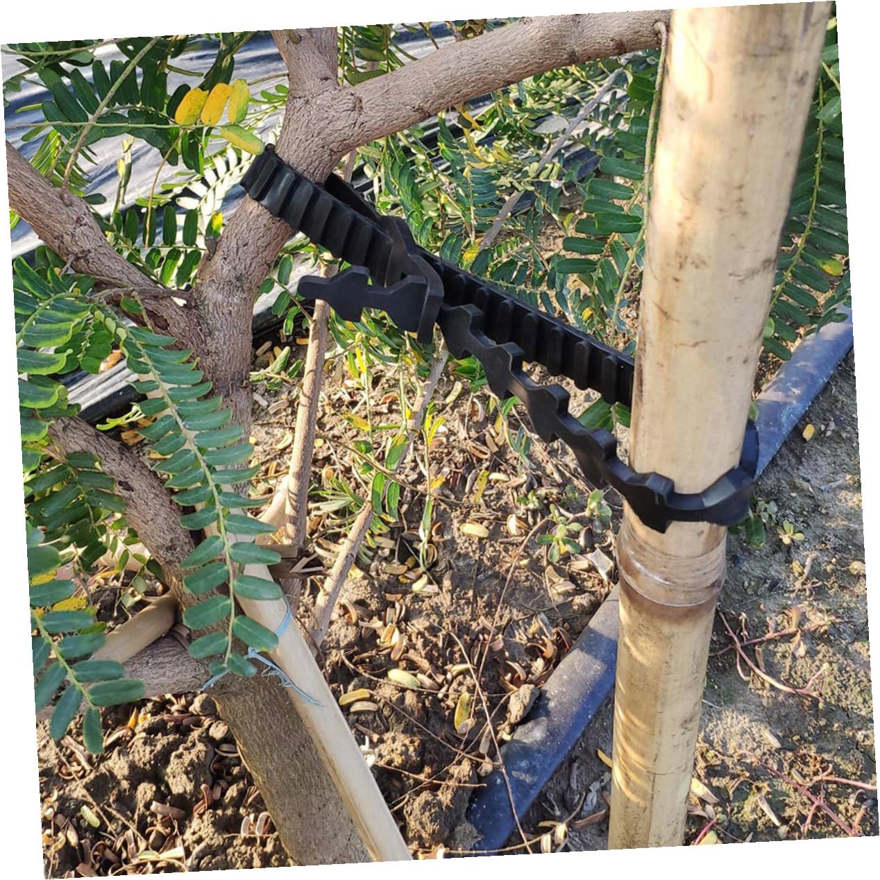 10 Stück Verstellbare Baumbänder Gummibänder für Obstbäume Astbinder mit Glatter Oberfläche UV und Hitzebeständig Wiederverwendbare Garten Bindebänder für Pflanzenschutz