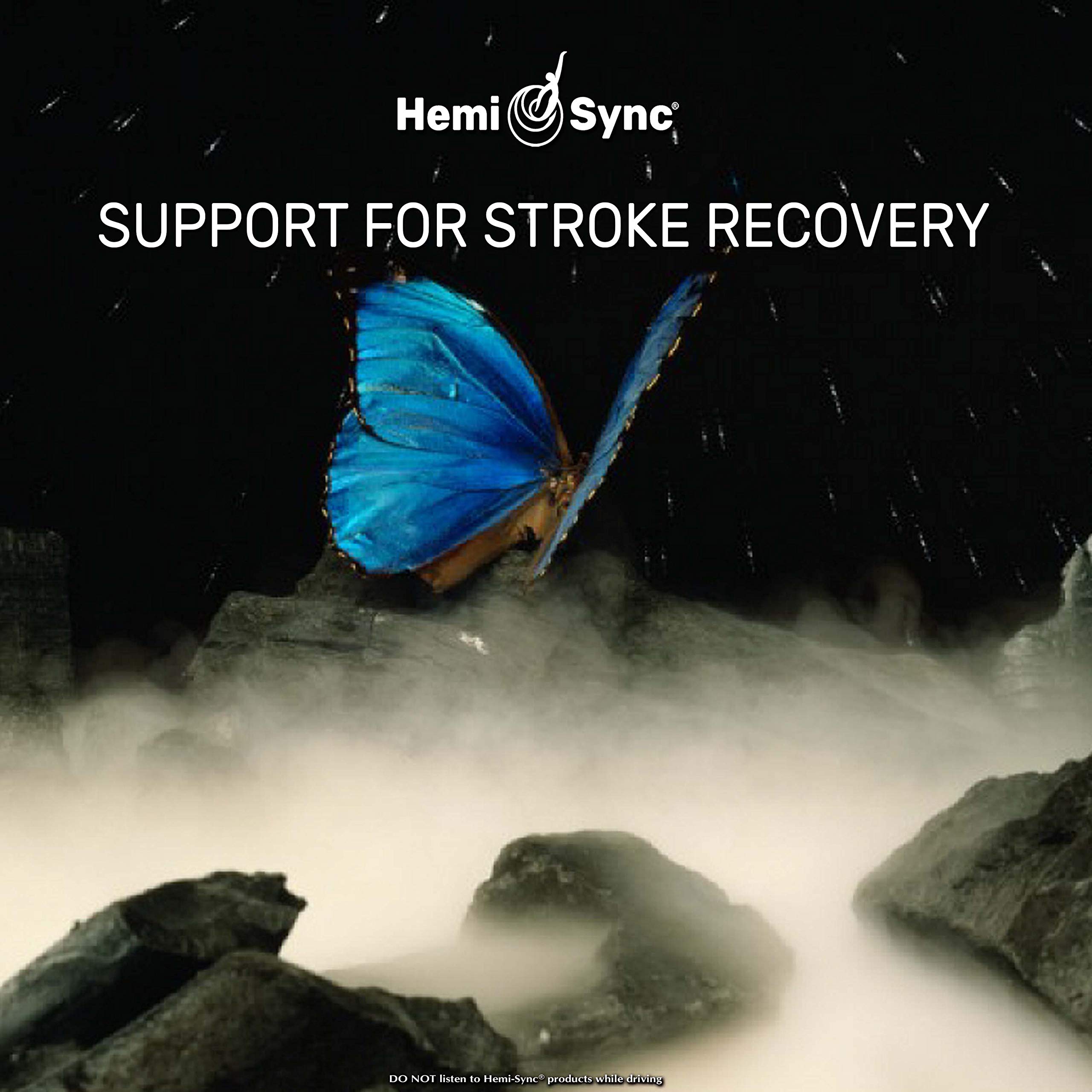 Support For Stroke Recovery