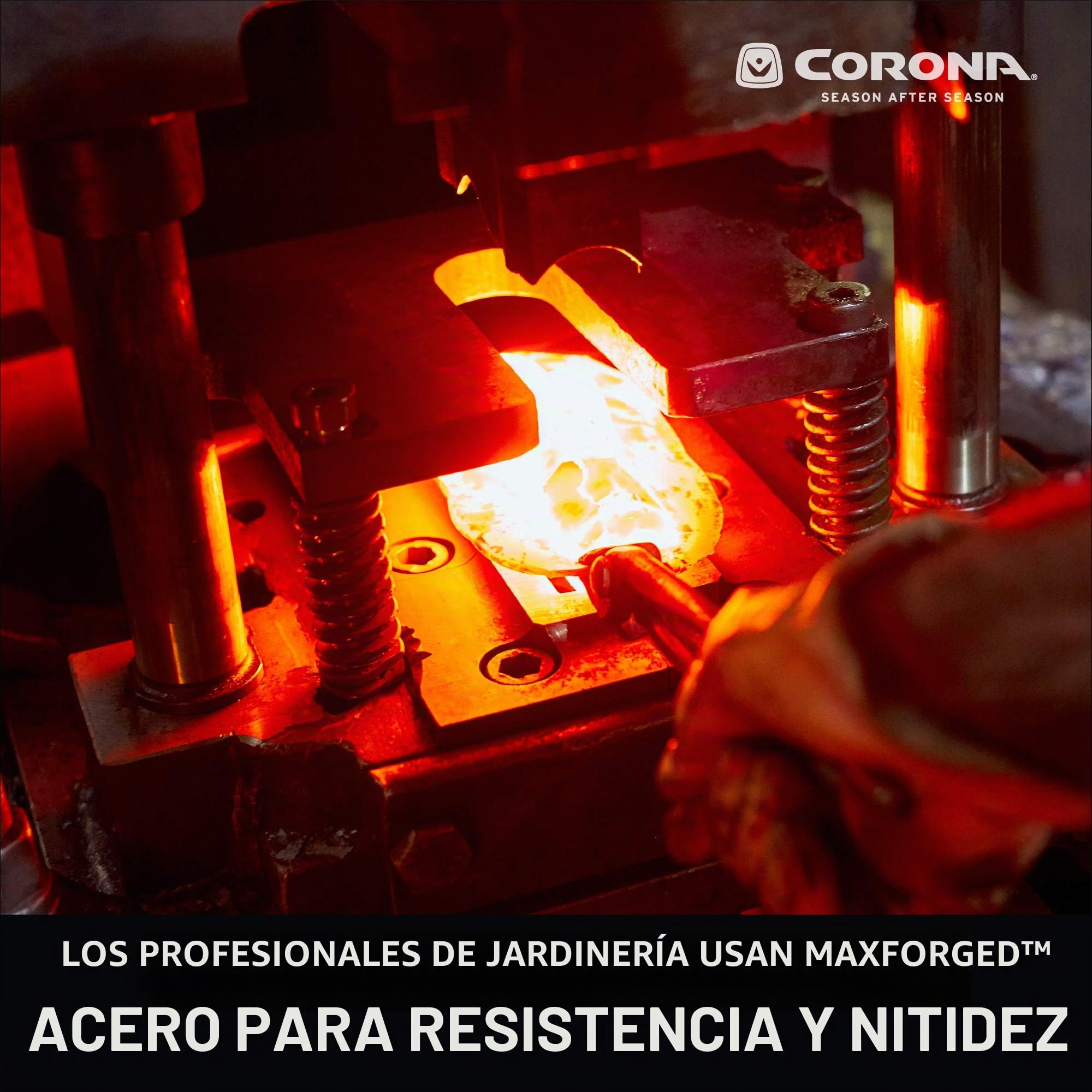 Corona HS 3950 Tijera Corta Setos con mango extensible de 10"