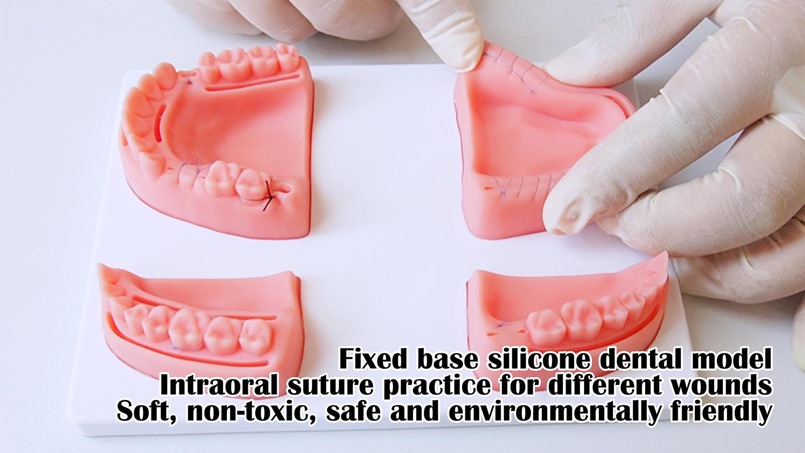 Image of Dental Suture Practice Kit - Suture Training Kit for Gum Cutting & Gingival Suturing, Oral Suture Practice Kit for Students, 4 Silicone Suture Pads Modules