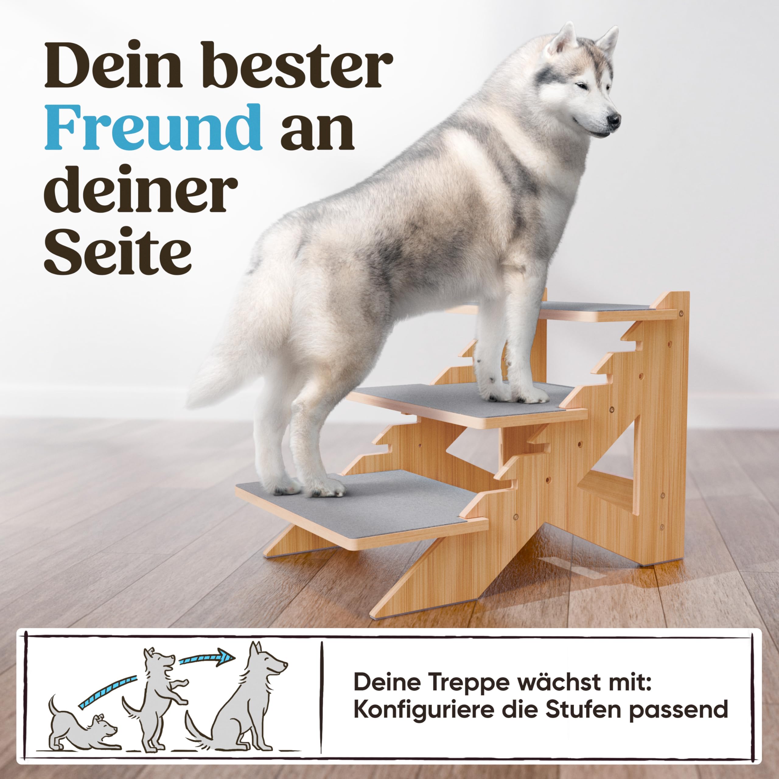 AMAZINGs Haustiertreppe für kleine, mittlere und schwere Hunde, Junge und alte Katzen. Flexibel einstellbar | Hundetreppe, Katzentreppe | 40 cm hoch, für Höhen von 25-55 cm, für Sofa, Couch, Bett