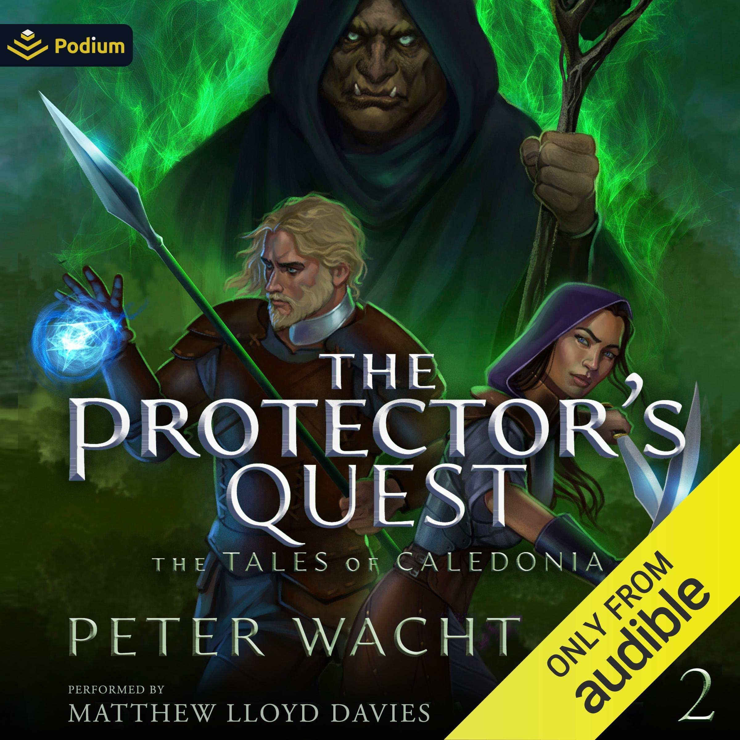 Cover art for The Protector's Quest