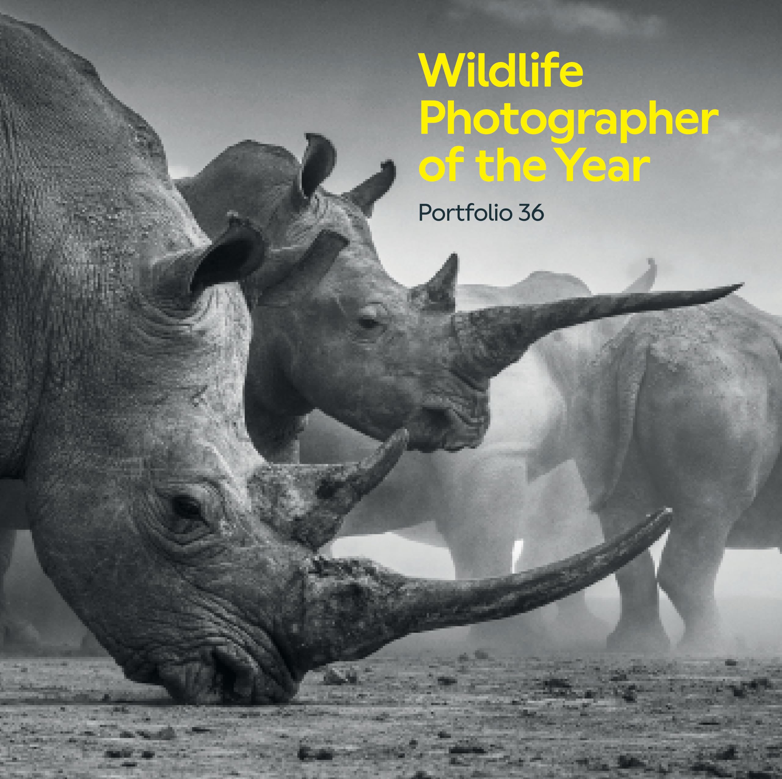Wildlife Photographer of the Year Portfolio 36