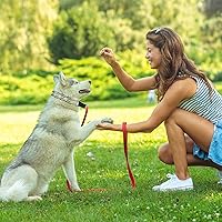 Vista 6 de Collar de entrenamiento para perros, collar de perro sin tirones, collar de perro, hebilla de metal de liberación rápida de alta resistencia, puntas