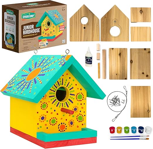 Jr Bird House Kit, DIY Cedar Wood Birdhouse for Outdoors with Paint, Fun for Kids & Adults, Bird House Making Kit for All Ages (1-Pack)