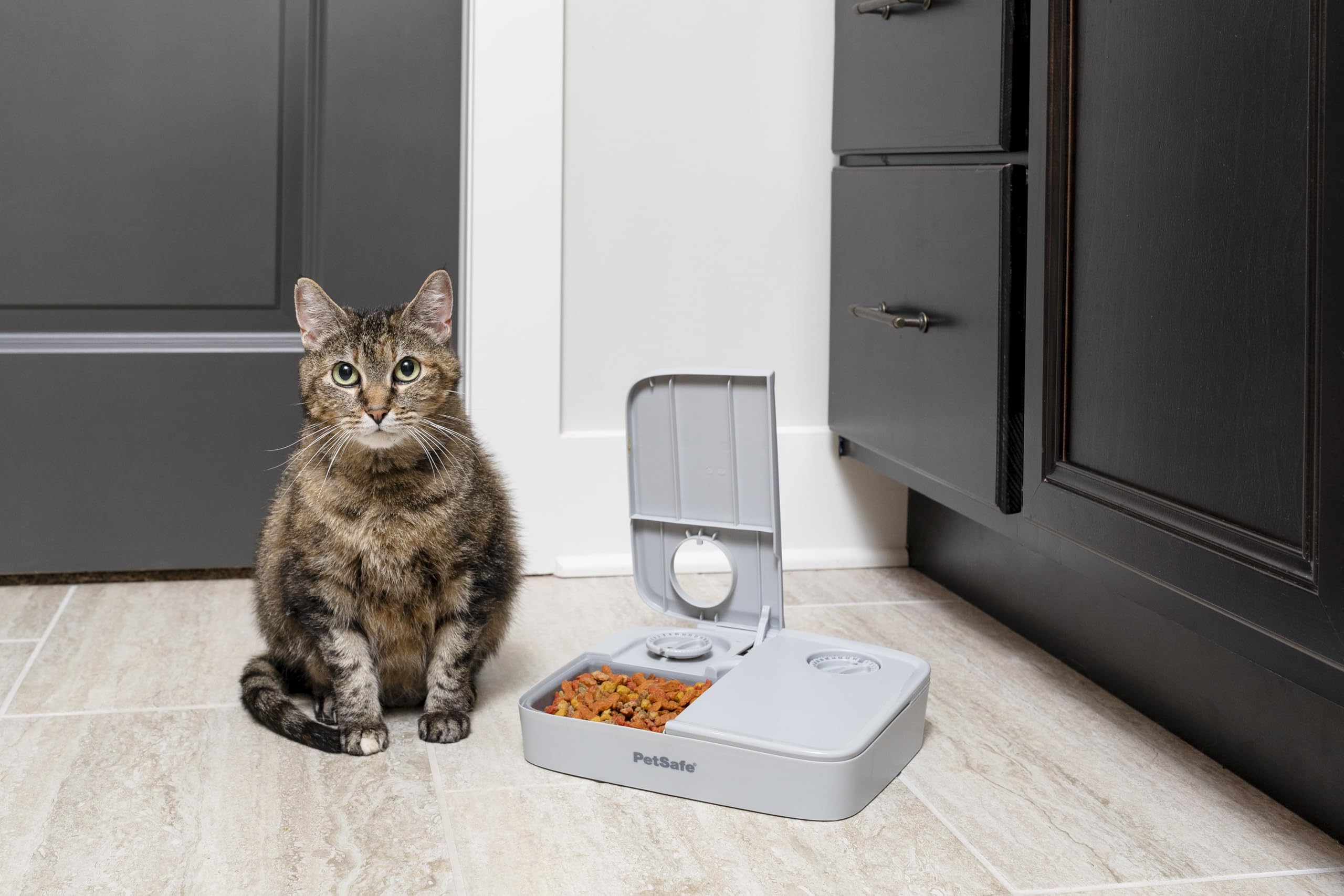 PetSafe Automat do karmy na 2 posiłki, wbudowane zegary sterujące, Misa bez BPA, nadaje się do suchej karmy, szary, 1 sztuka (1 opakowanie)