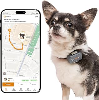 Pawfit Lite für Hunde 4G GPS Tracker | Echtzeit-Tracking | Aktivitätsüberwachung | Standortverlauf | Unbegrenzte Reichweite | Sicherheitshalsband inklusive | Kohlegrau