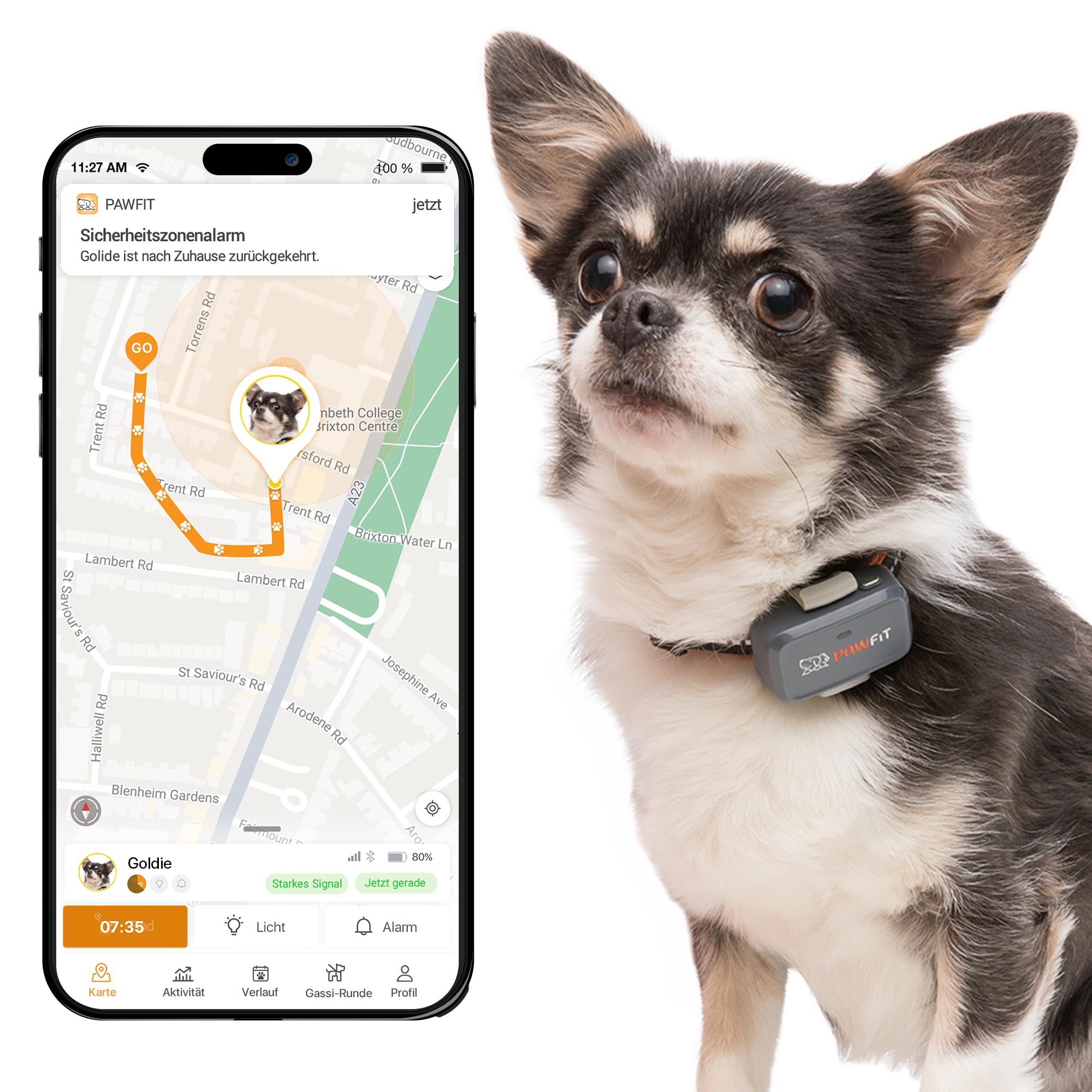 Pawfit Lite für Hunde 4G GPS Tracker | Echtzeit-Tracking | Aktivitätsüberwachung | Standortverlauf | Unbegrenzte Reichweite | Sicherheitshalsband inklusive | Kohlegrau