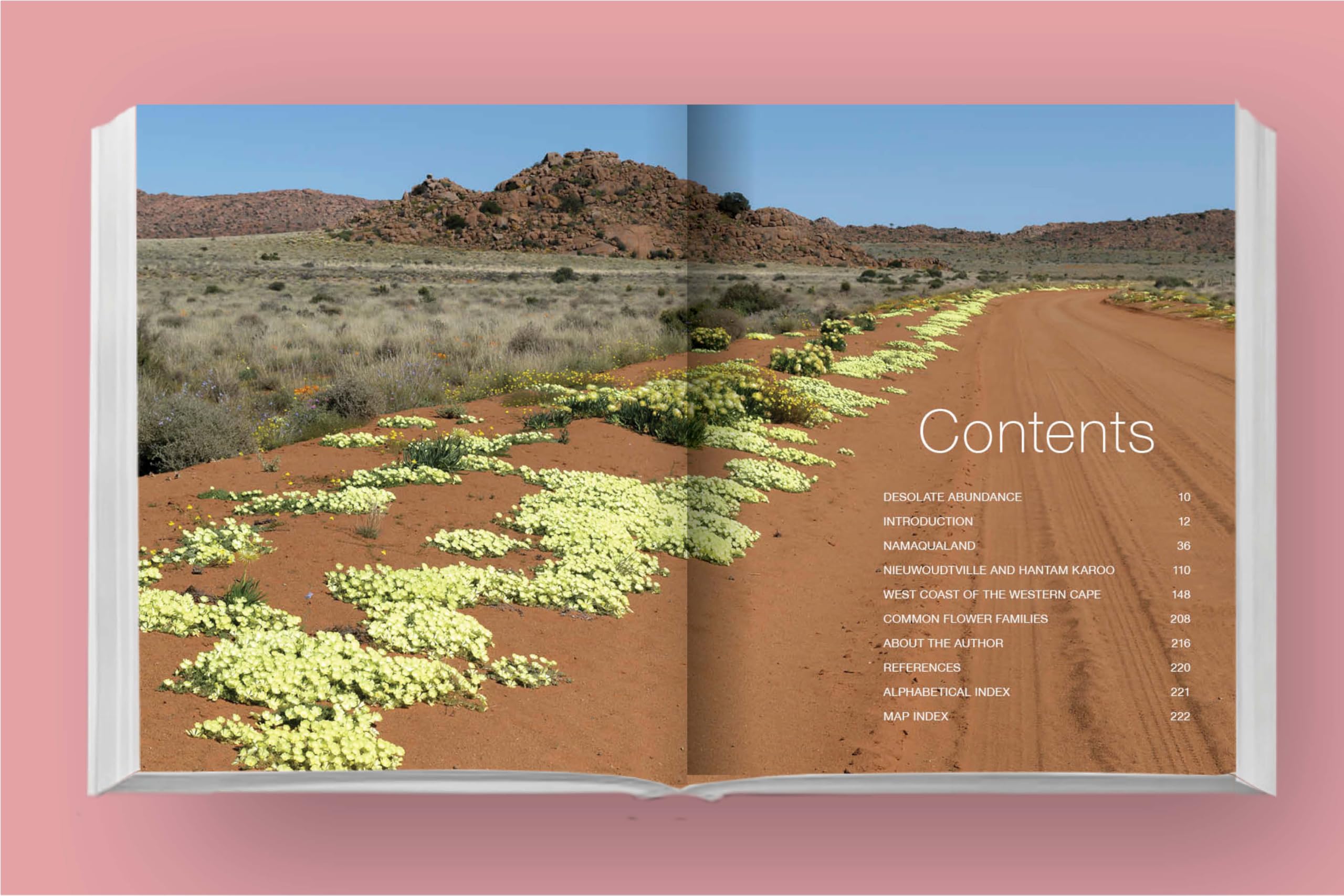 Namaqualand Self-Drive: Namaqualand, Nieuwoudtsville & West Coast