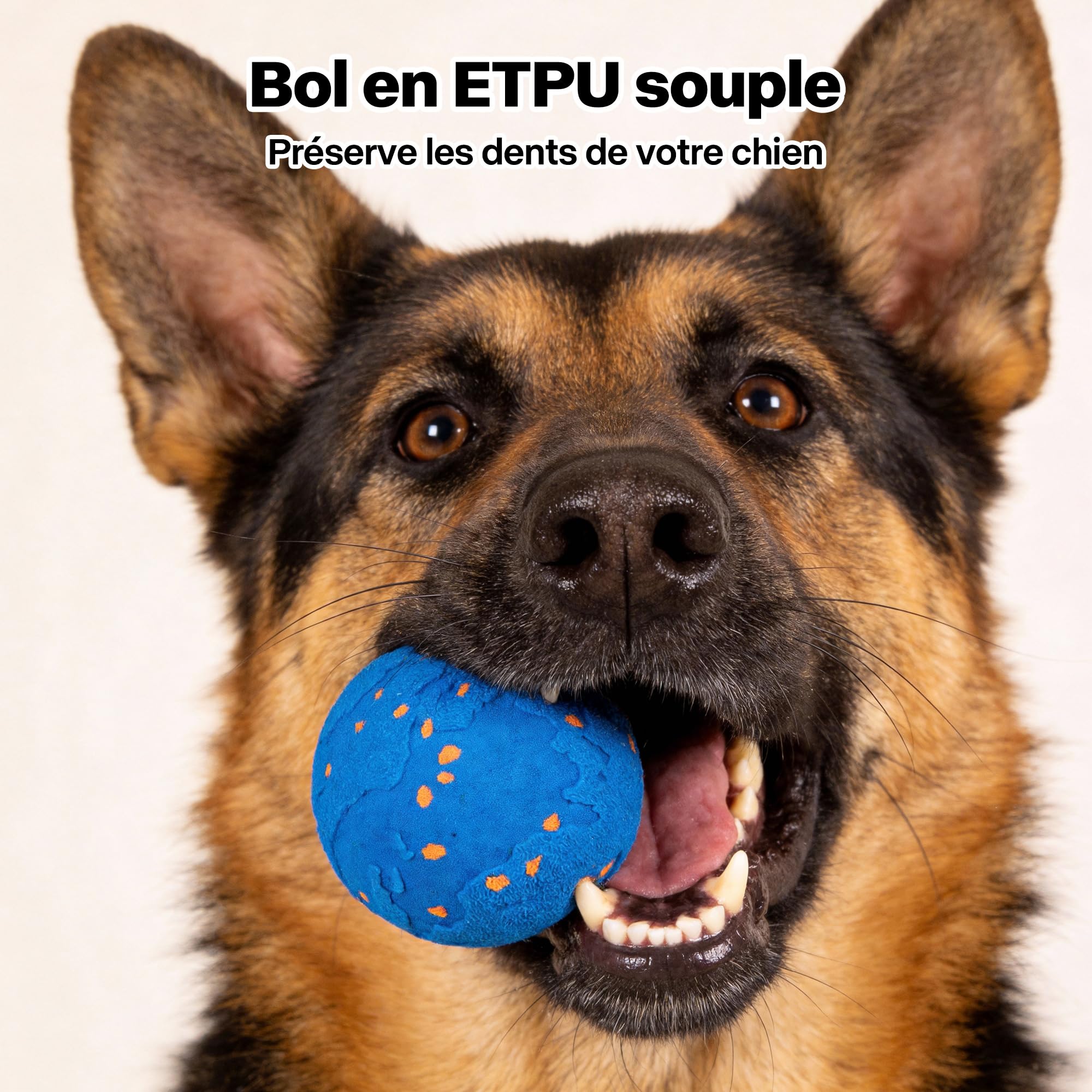 Pet Prime Balle Interactive pour Chien avec 2 Modes – Coque E-TPU Silencieuse & Sauts Intelligents – Design Carte du Monde et Empreinte de Patte, 83mm