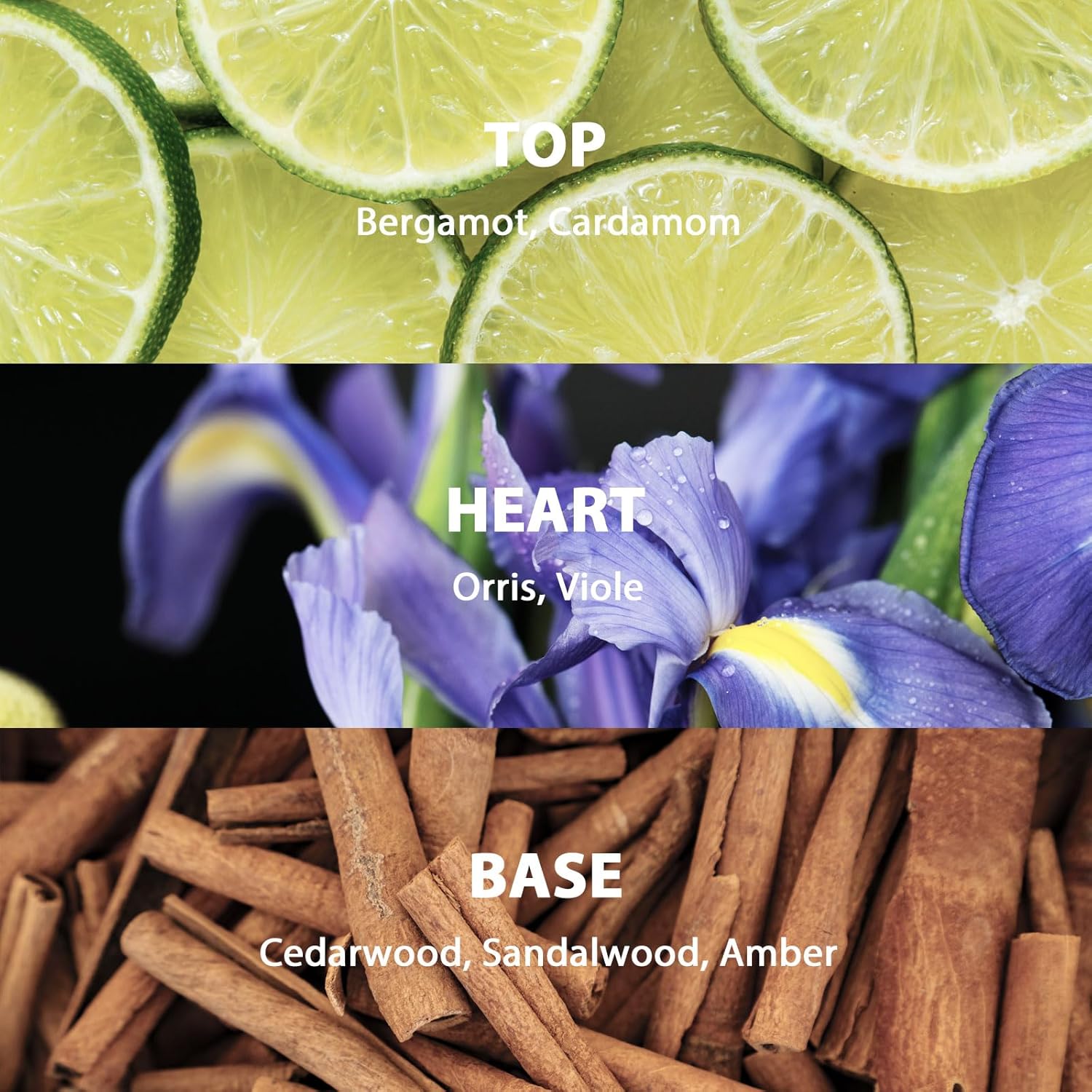 Sandalwood Amber Reed Diffuser Set for Bathroom & Home, Long Lasting Essential Oil Aroma, Glass Bottle Home Fragrance with Sticks, Ideal Gift for Woman, 9.85oz (280ml) - Image 3