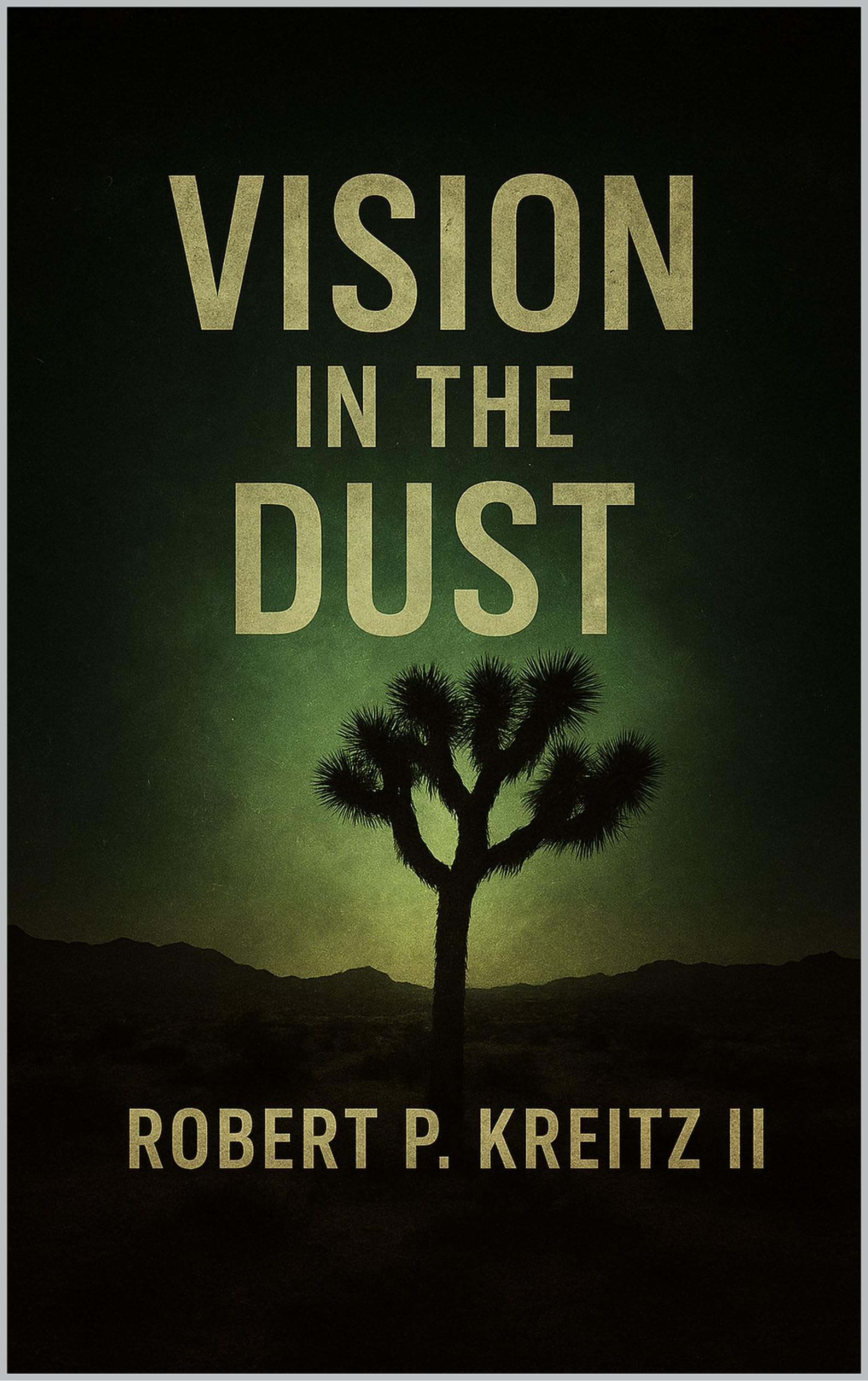 Livre Vision in the Dust photographie et poésie du désert