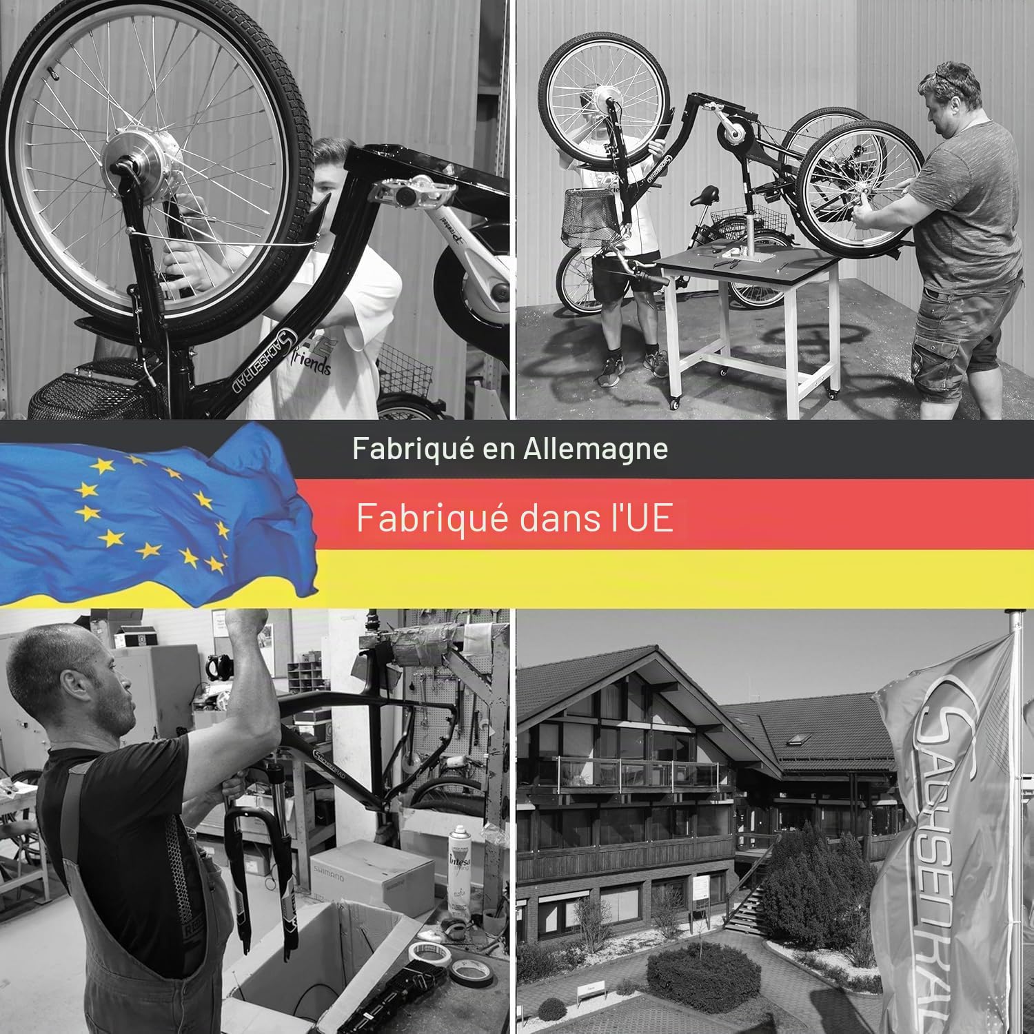 Vélo Cargo électrique T3A Trio avec système d'alarme, vélo électrique 250 W avec écran LCD et éclairage LED homologué StVZO pour Le Transport des Enfants, Cellule LG Durable, Noir